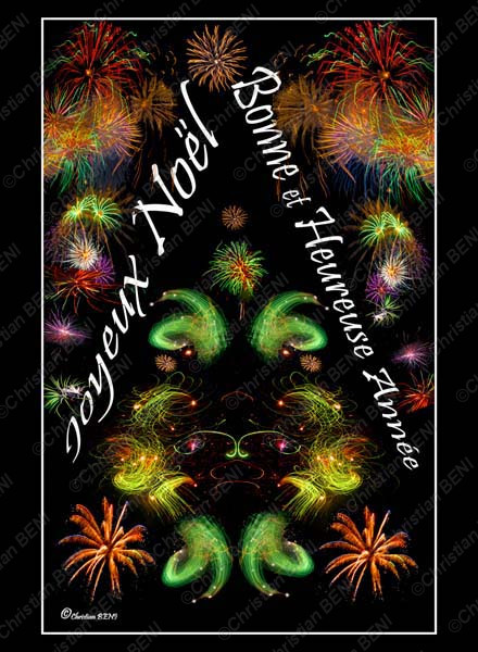 carte postale voeux 2011 wb.jpg