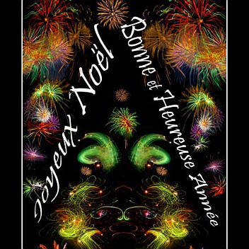 carte postale voeux 2011 wb