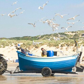 flobards et moettes