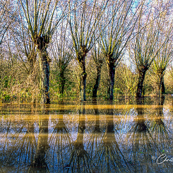 2020-05-29-0005 innondations au marais de Guines