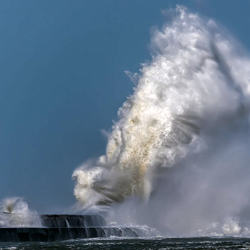 Le babouin de la digue carnot Tempete sur la digue