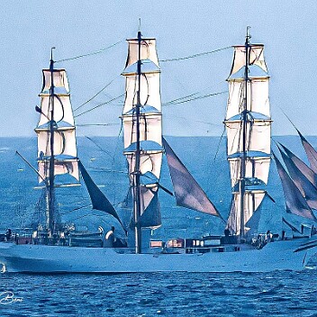 CB7_9809