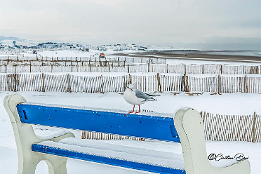 D'hiver