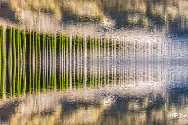 Reflets ephemeres