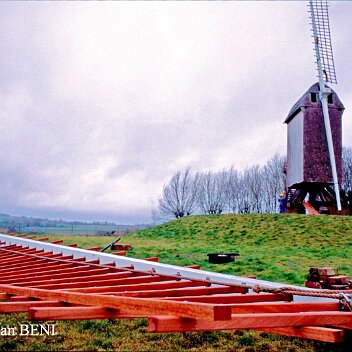 Sans titre - 5aile de roome AppleMark