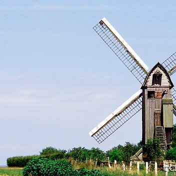 moulindecoquelleset ferry AppleMark