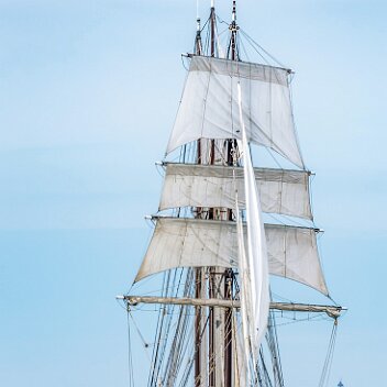 Marite et le gris Nez Marite à Audresselles 2023