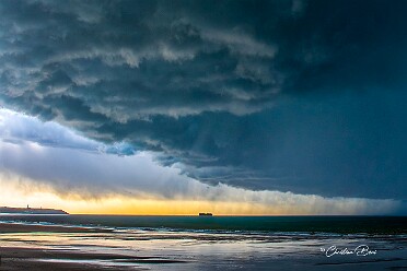 Flobarts pays de Wissant