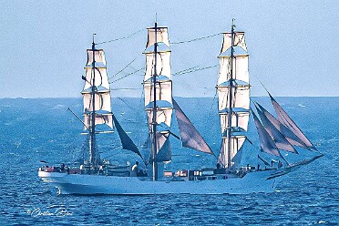 Un jour,les Voiles,Une salle... Rassemblements de voiliers d'Ostende à Bordeaux