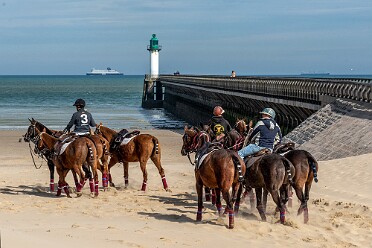 les Chevaux et la Mer